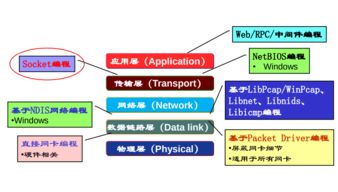 哈工大計算機(jī)網(wǎng)絡(luò)Week2 網(wǎng)絡(luò)應(yīng)用數(shù)據(jù)交換與計算機(jī)編程